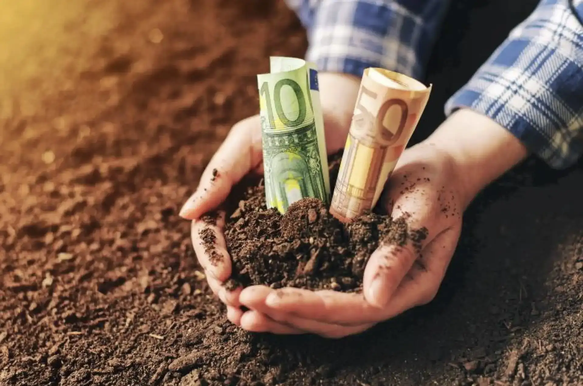 The 5 Essential Steps to Start Investing Successfully on J. Bravo